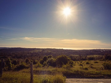 Venta / Terreno / Los Muermos