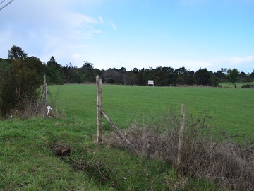 Venta / Terreno / Los Muermos