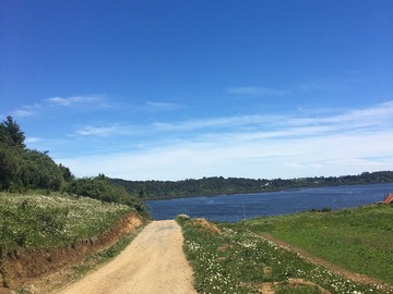 Venta / Terreno / Los Muermos