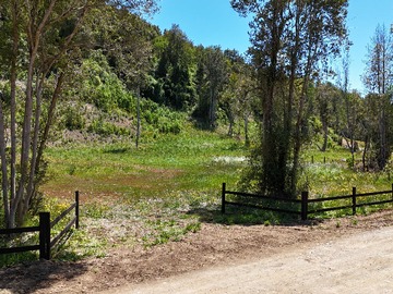 Venta / Terreno / Los Muermos