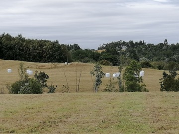 Venta / Terreno / Los Muermos