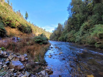 Venta / Terreno / Los Muermos