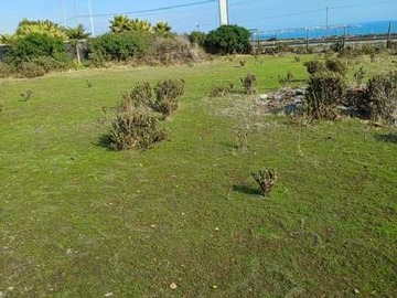 Imagen 13