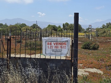 Imagen 6