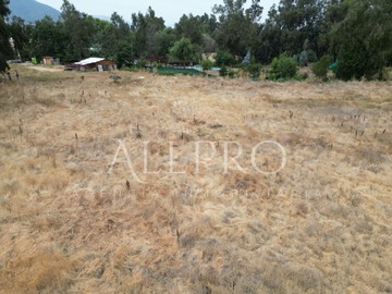 Imagen 9