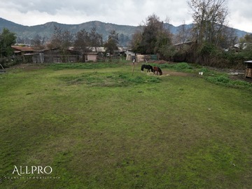 Imagen 8