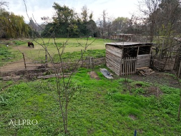 Imagen 10