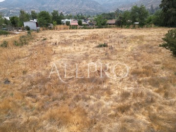 Imagen 6