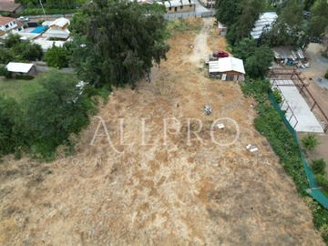 Imagen 16