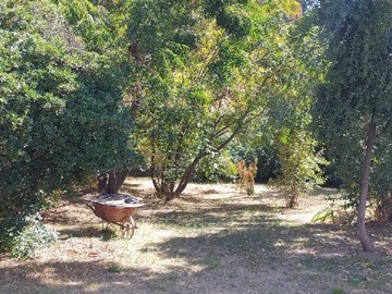 Venta / Terreno / Machalí
