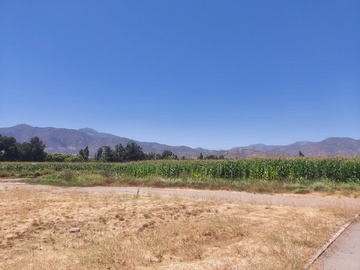 Venta / Terreno / Machalí