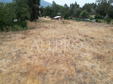Imagen 8