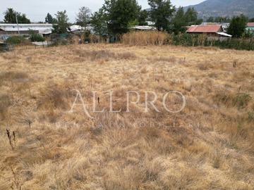 Imagen 12