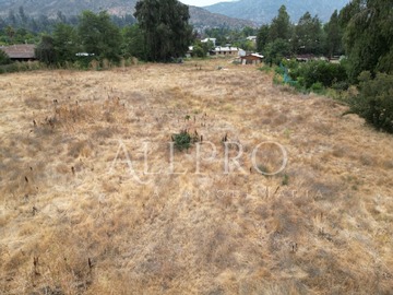 Imagen 7