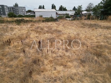 Imagen 11