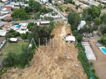 Imagen 15