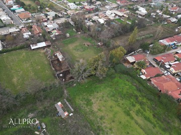Imagen 15