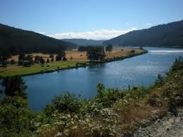 Imagen 8