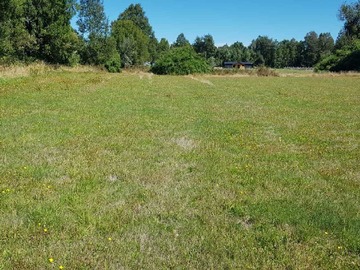 Venta / Terreno / Máfil