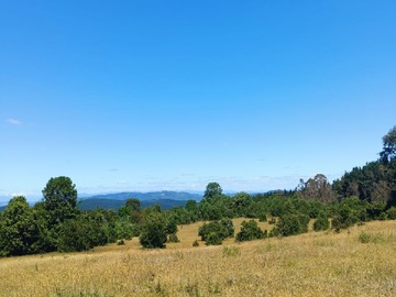 Venta / Terreno / Máfil