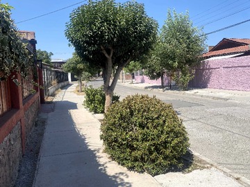 Imagen 12
