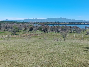 Venta / Terreno / Marchigüe