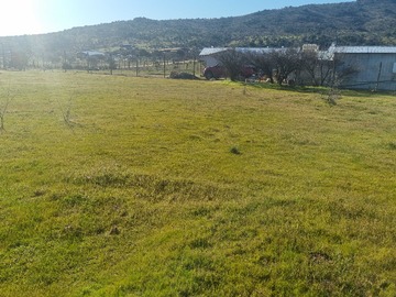 Imagen 8
