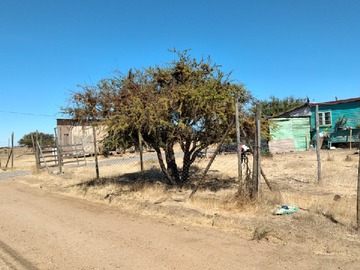 Imagen 3
