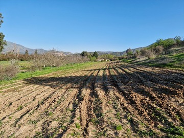 Venta / Terreno / María Pinto
