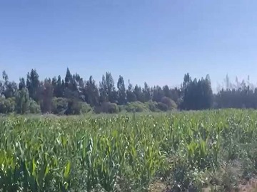 Venta / Terreno / María Pinto