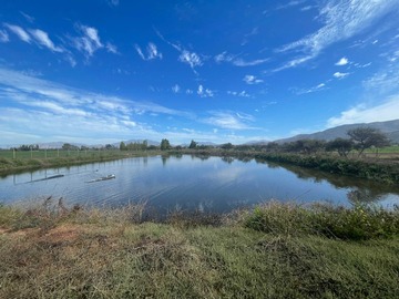 Venta / Terreno / María Pinto