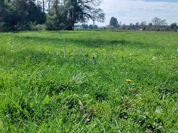 Venta / Terreno / Mariquina