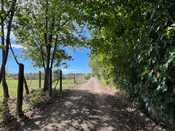 Venta / Terreno / Mariquina
