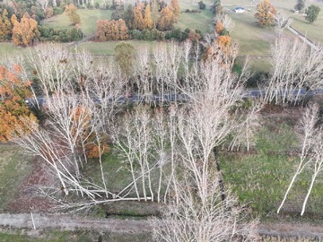 Venta / Terreno / Mariquina