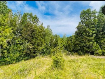 Venta / Terreno / Mariquina