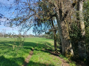 Venta / Terreno / Mariquina