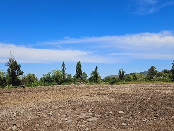Venta / Terreno / Maule
