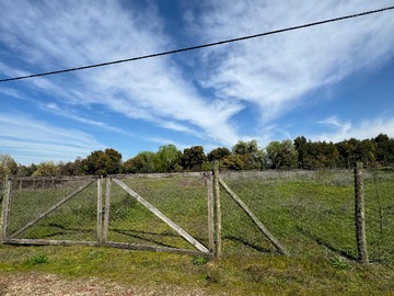 Imagen 11