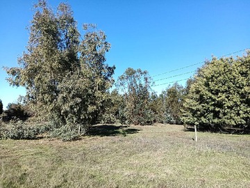 Venta / Terreno / Maule