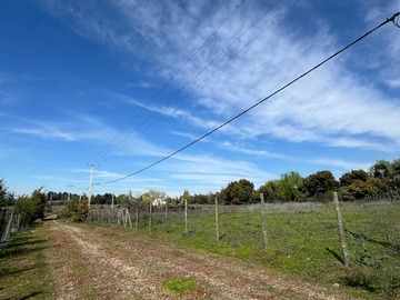 Imagen 6