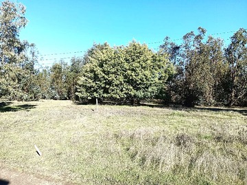 Venta / Terreno / Maule