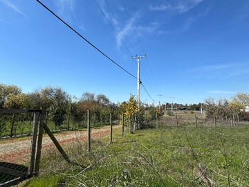 Venta / Terreno / Maule