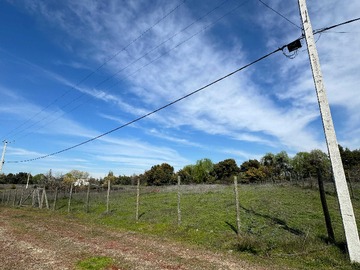 Imagen 7