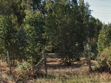 Venta / Terreno / Maule