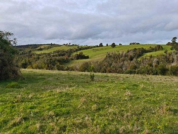 Venta / Terreno / Maullín