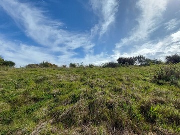 Venta / Terreno / Maullín