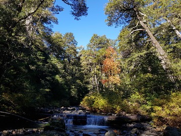 Venta / Terreno / Melipeuco