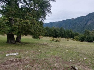 Imagen 9