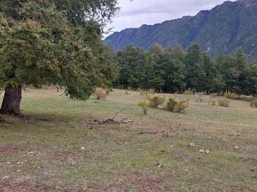 Imagen 7