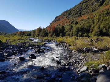 Venta / Terreno / Melipeuco